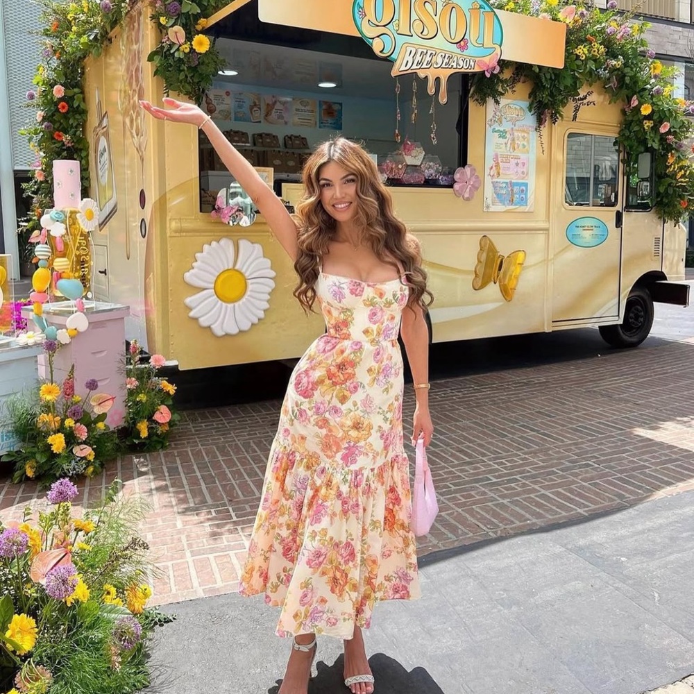 House of cb Elia dress